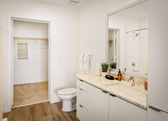 Locale Midtown Phoenix 1