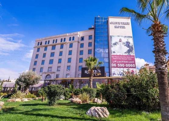 Olive Tree Amman 1