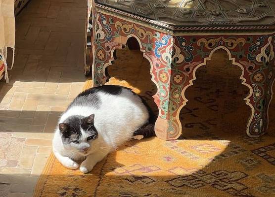 RIAD OASIS D'ASILAH 1