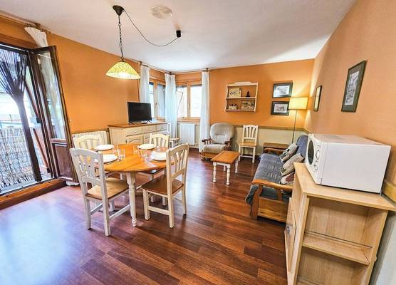 Apartamentos Gavín Biescas 3000 1