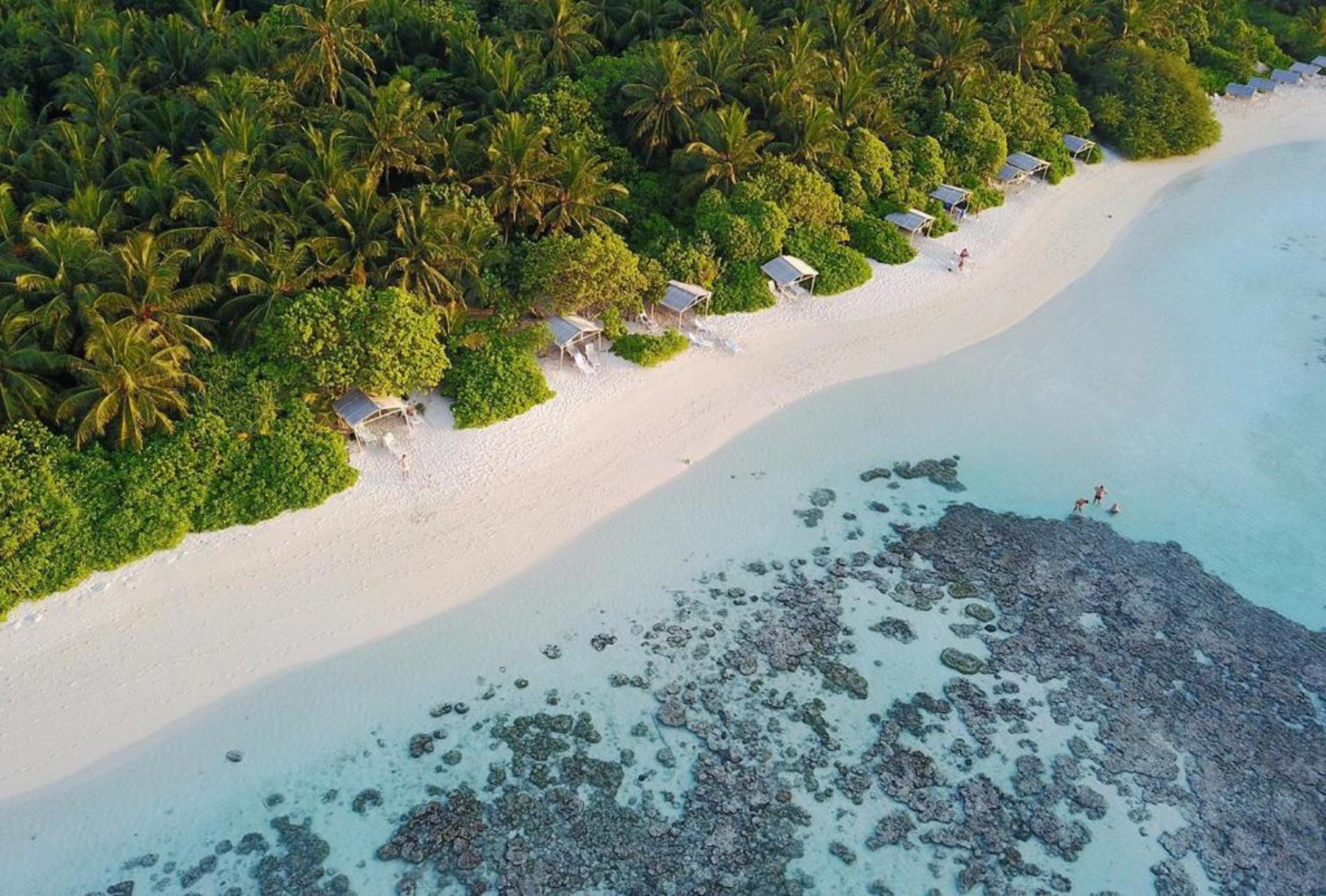 Plumeria Maldives 1