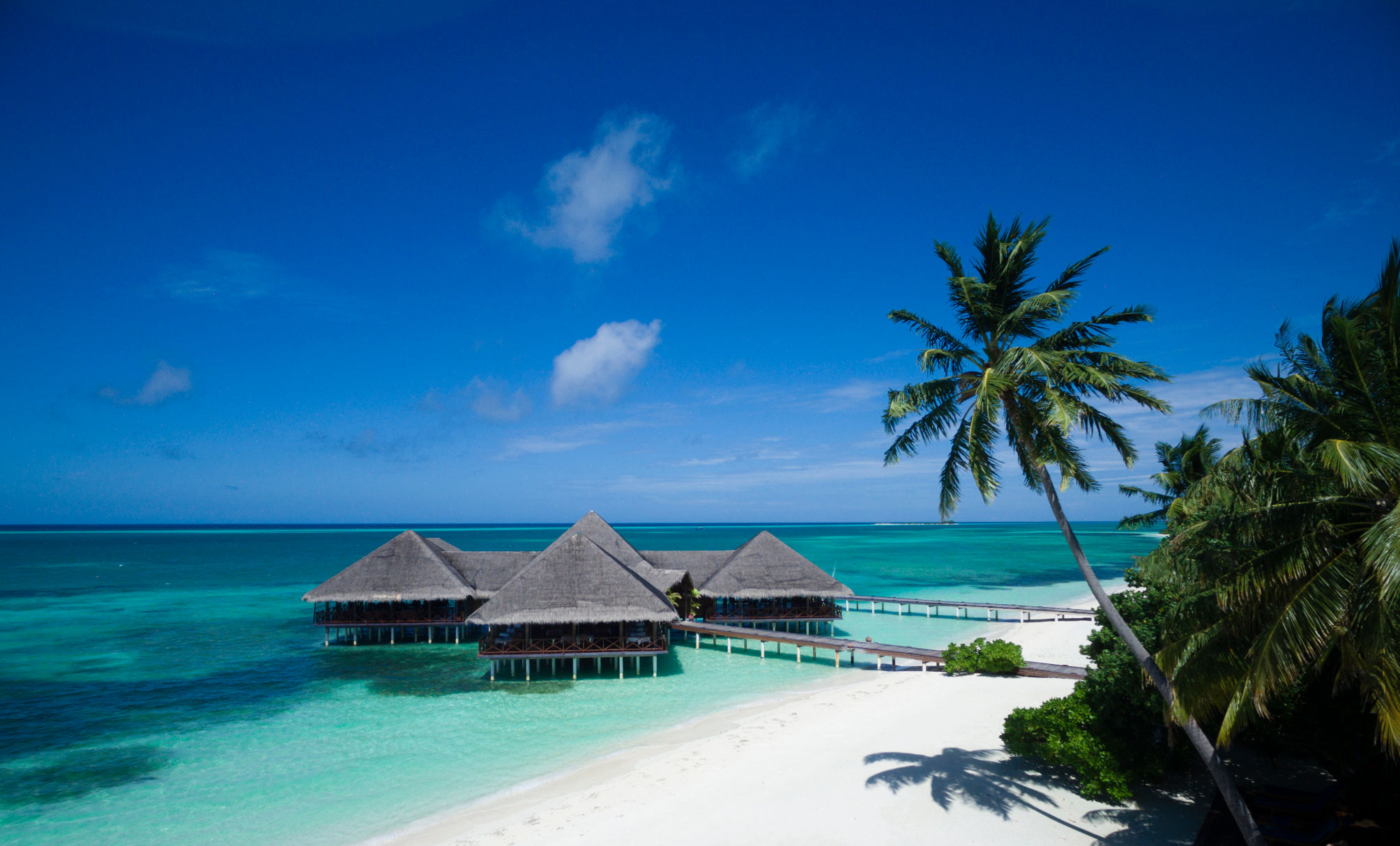 Medhufushi Island Resort 2