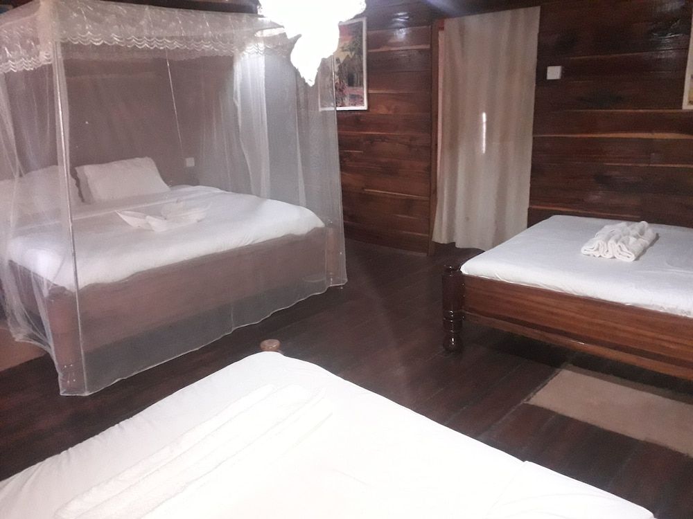 Lyon - Serengeti National Park - Ikoma Safari Camp - Serengeti National Park