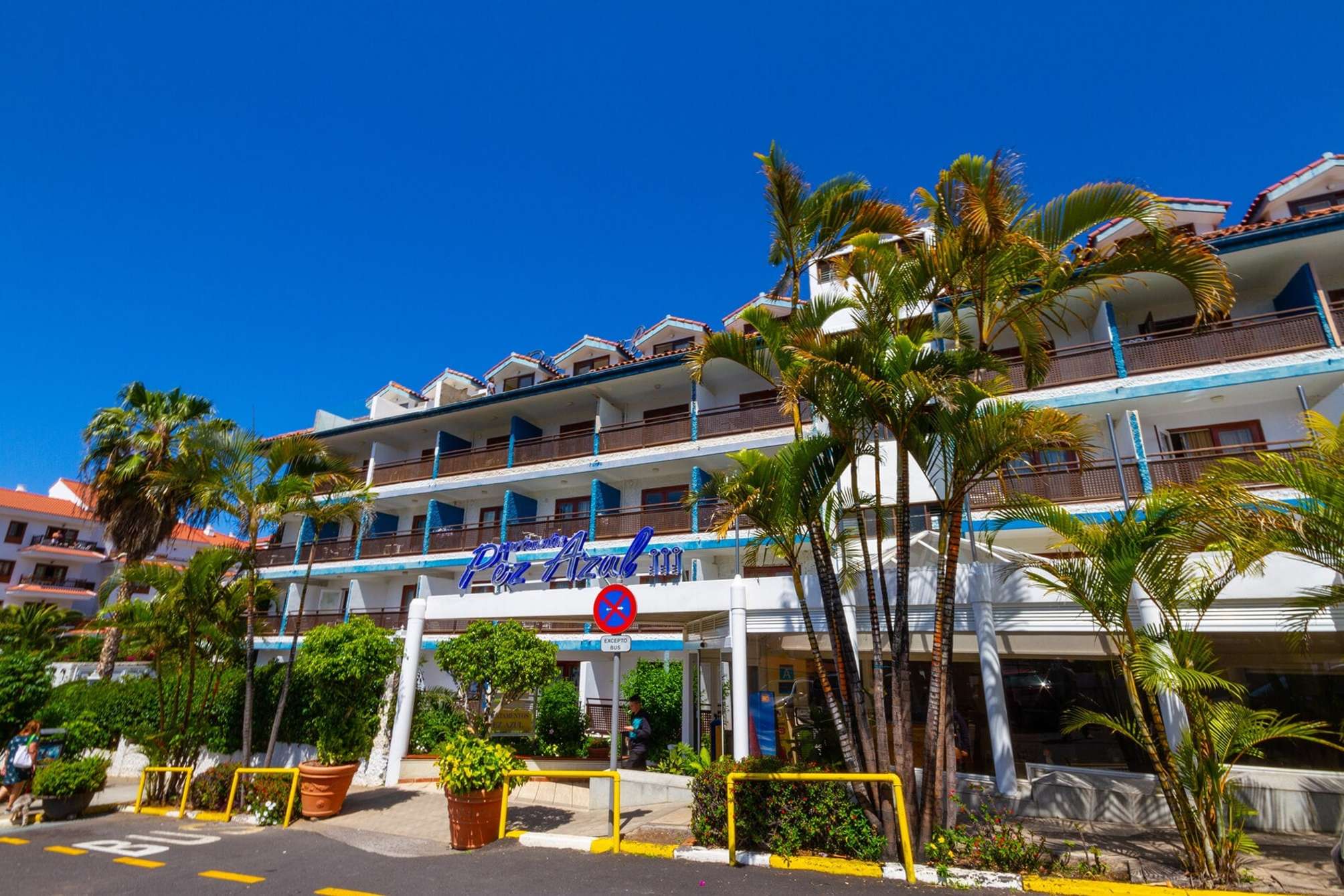 Apartamentos Pez Azul 2
