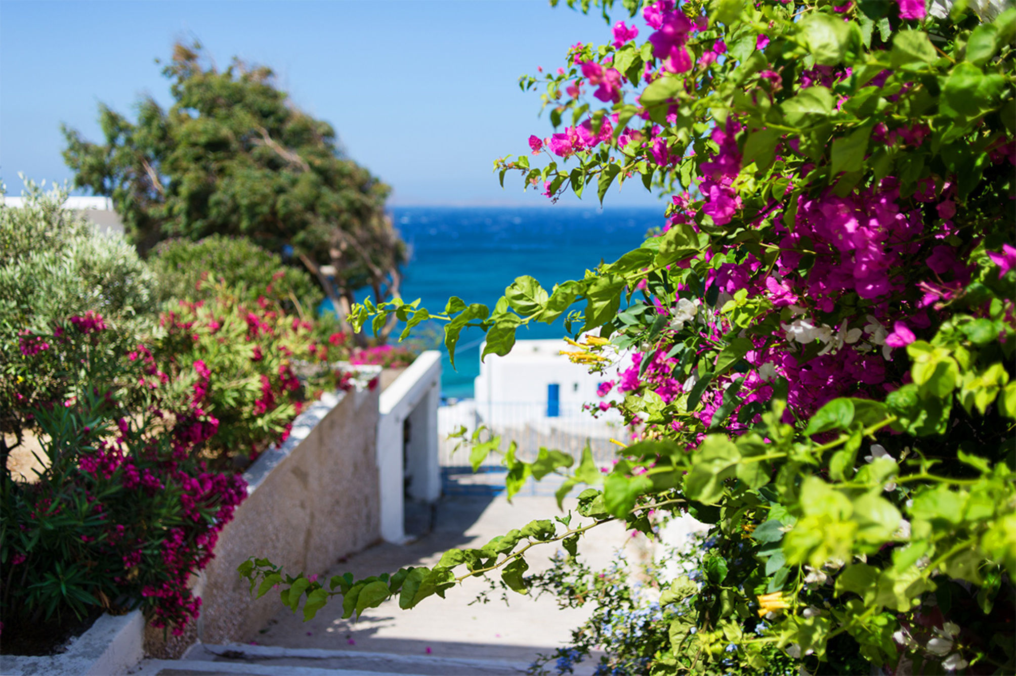Alkistis Beach Hotel - Designed for Adults 2