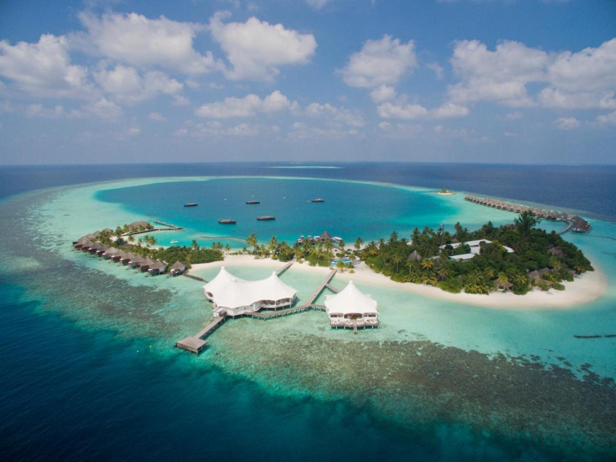 Safari Island 1