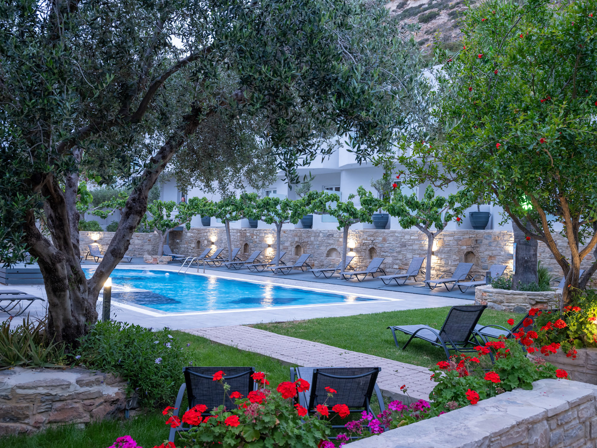 Calypso Hotel 1