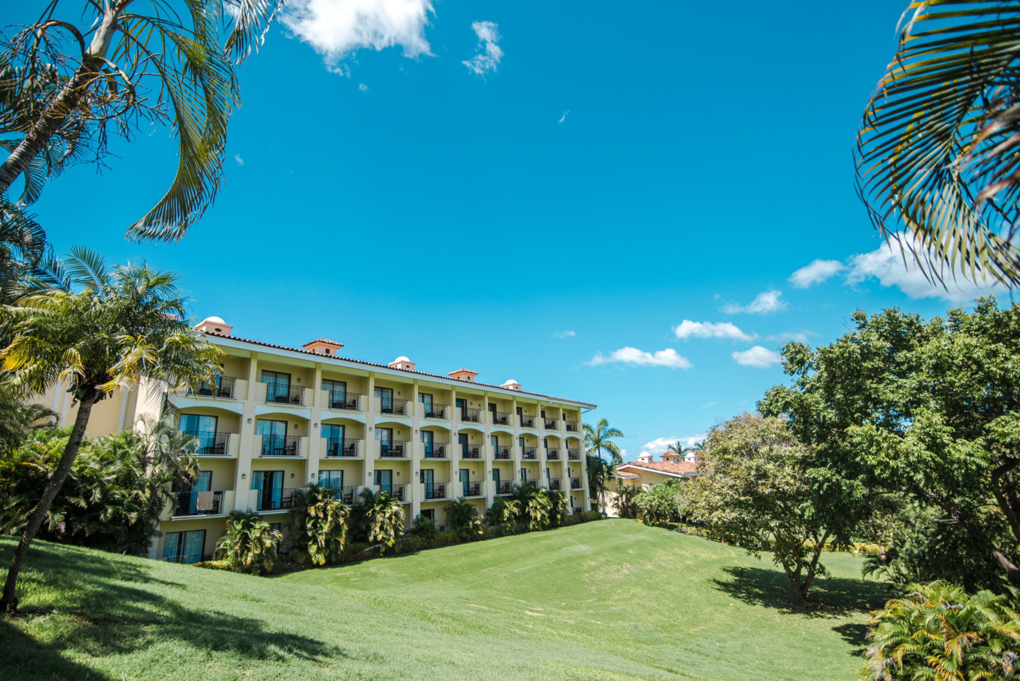 Occidental Papagayo - Adults Only 2
