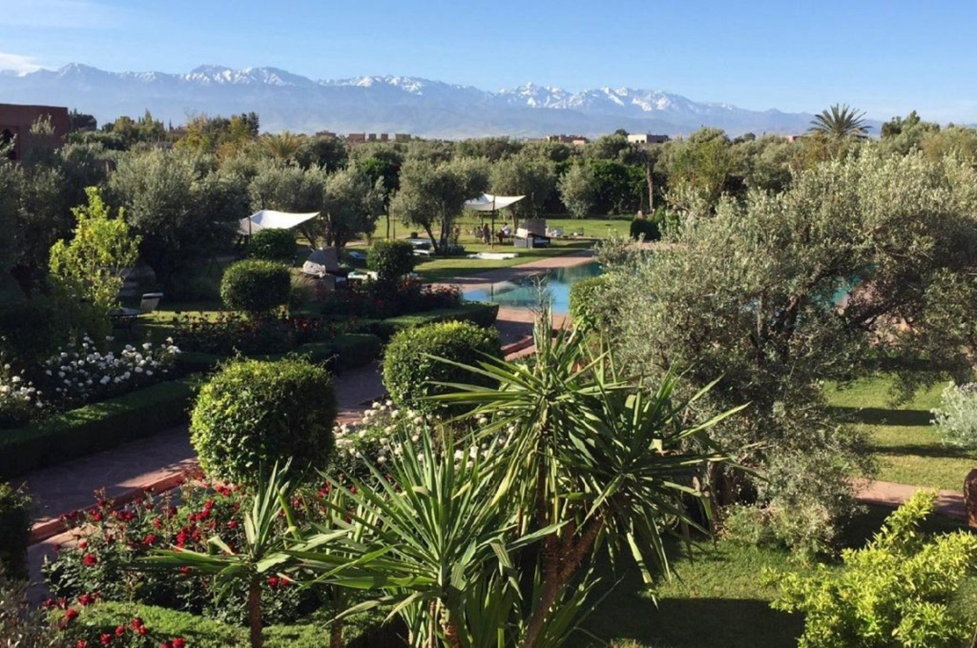Les Jardins De Zyriab 1