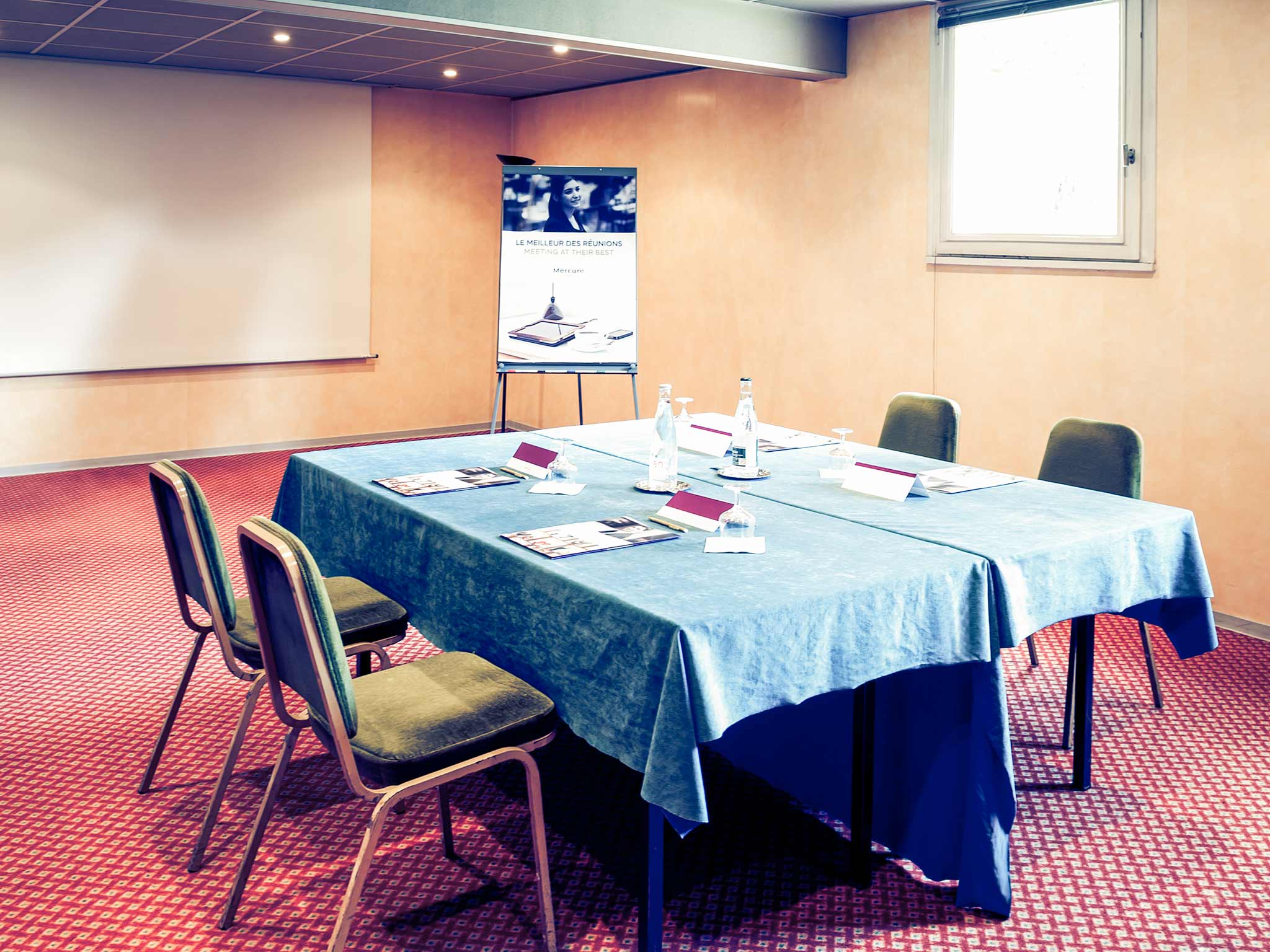 Hôtel Mercure Mâcon Bord de Saône 2