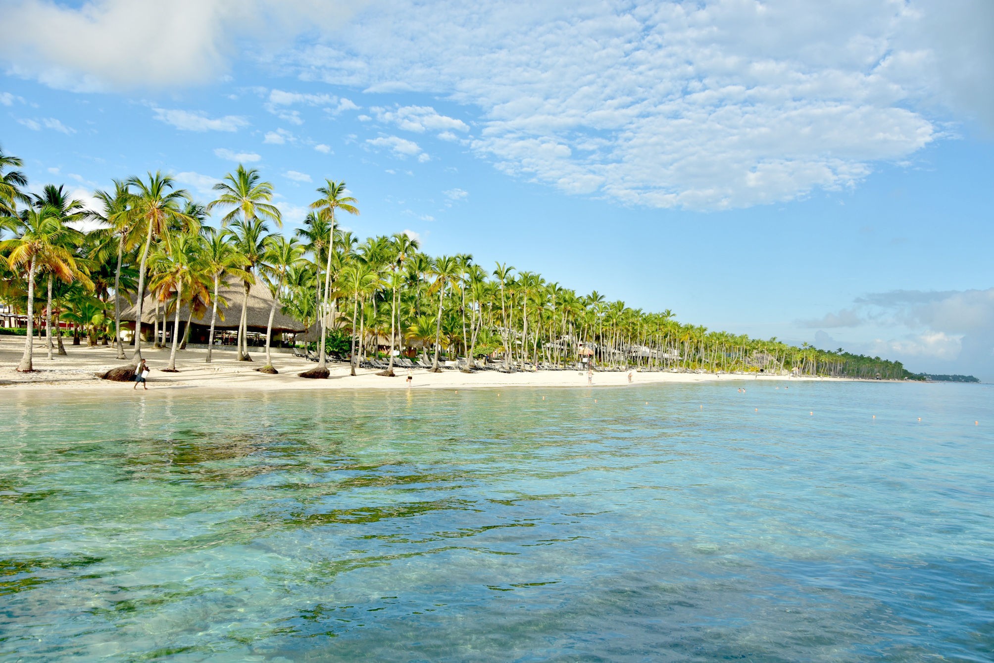 Barcelo Bavaro Beach, Adults Only 2
