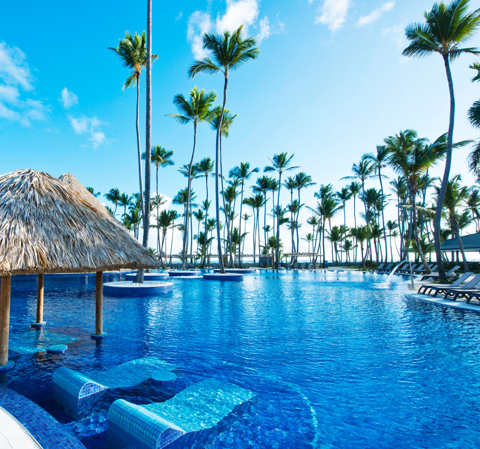 Barcelo Bavaro Beach, Adults Only 1