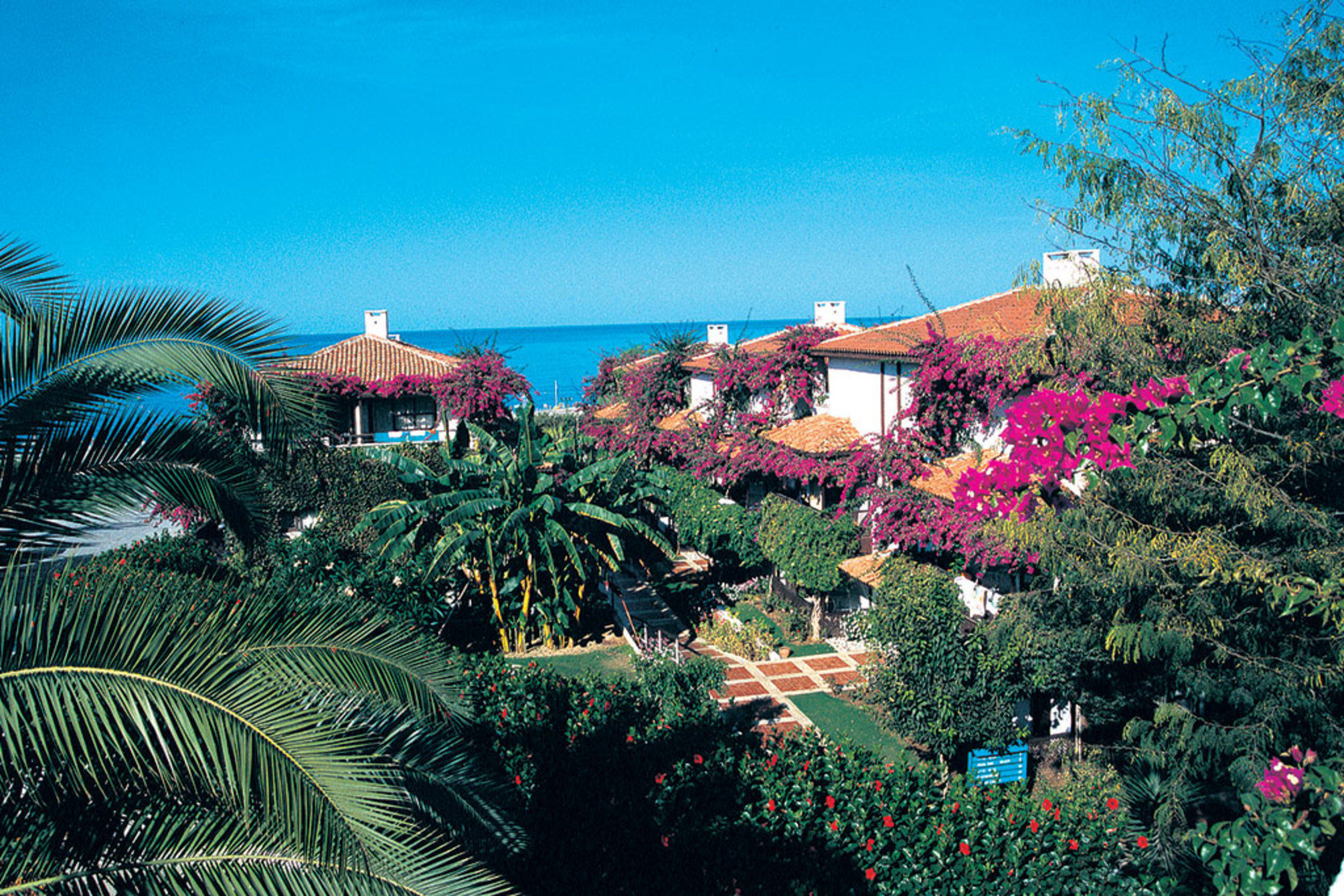 Club Titan Hotel Ultra All Inclusive 2