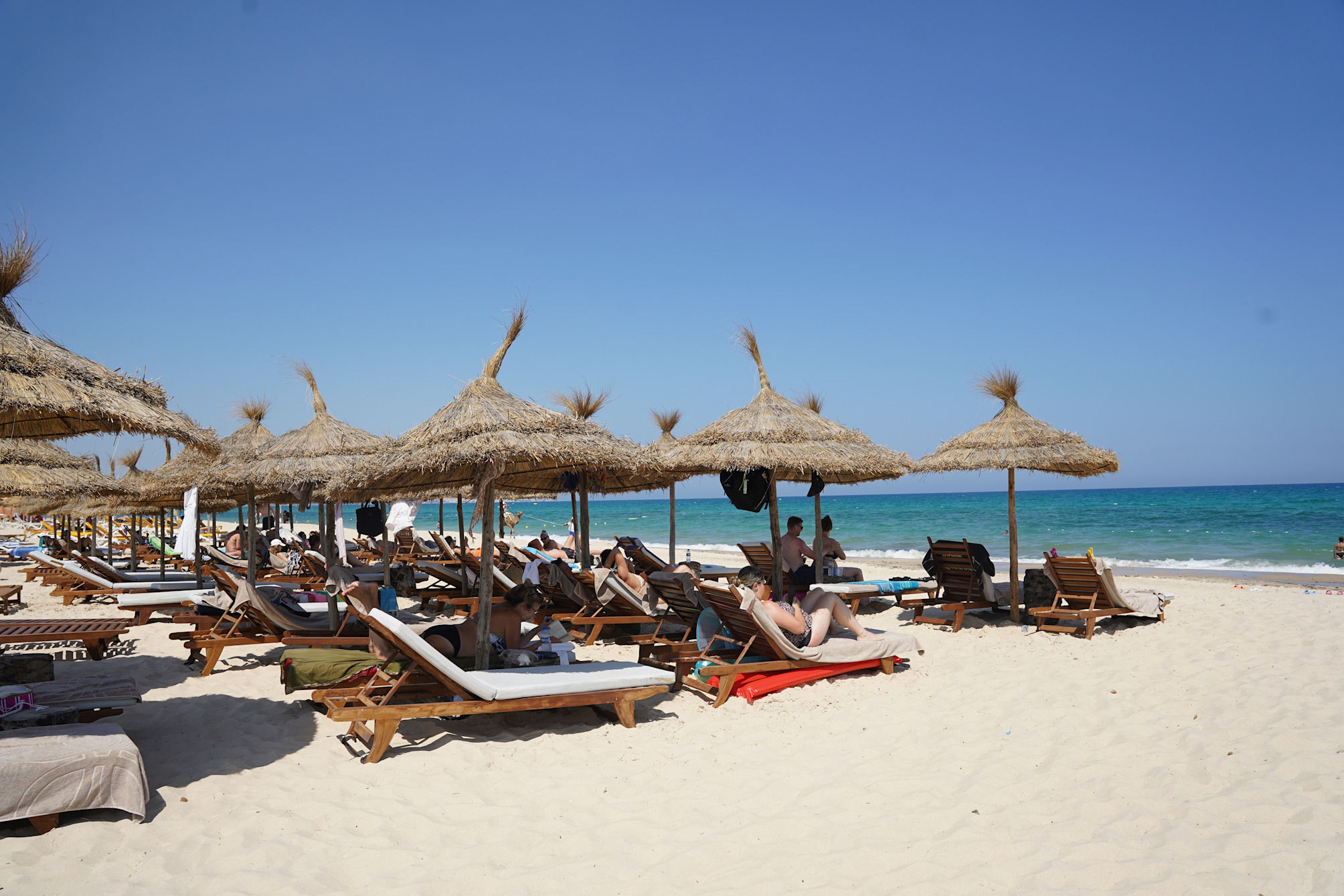 Sentido Marillia 2