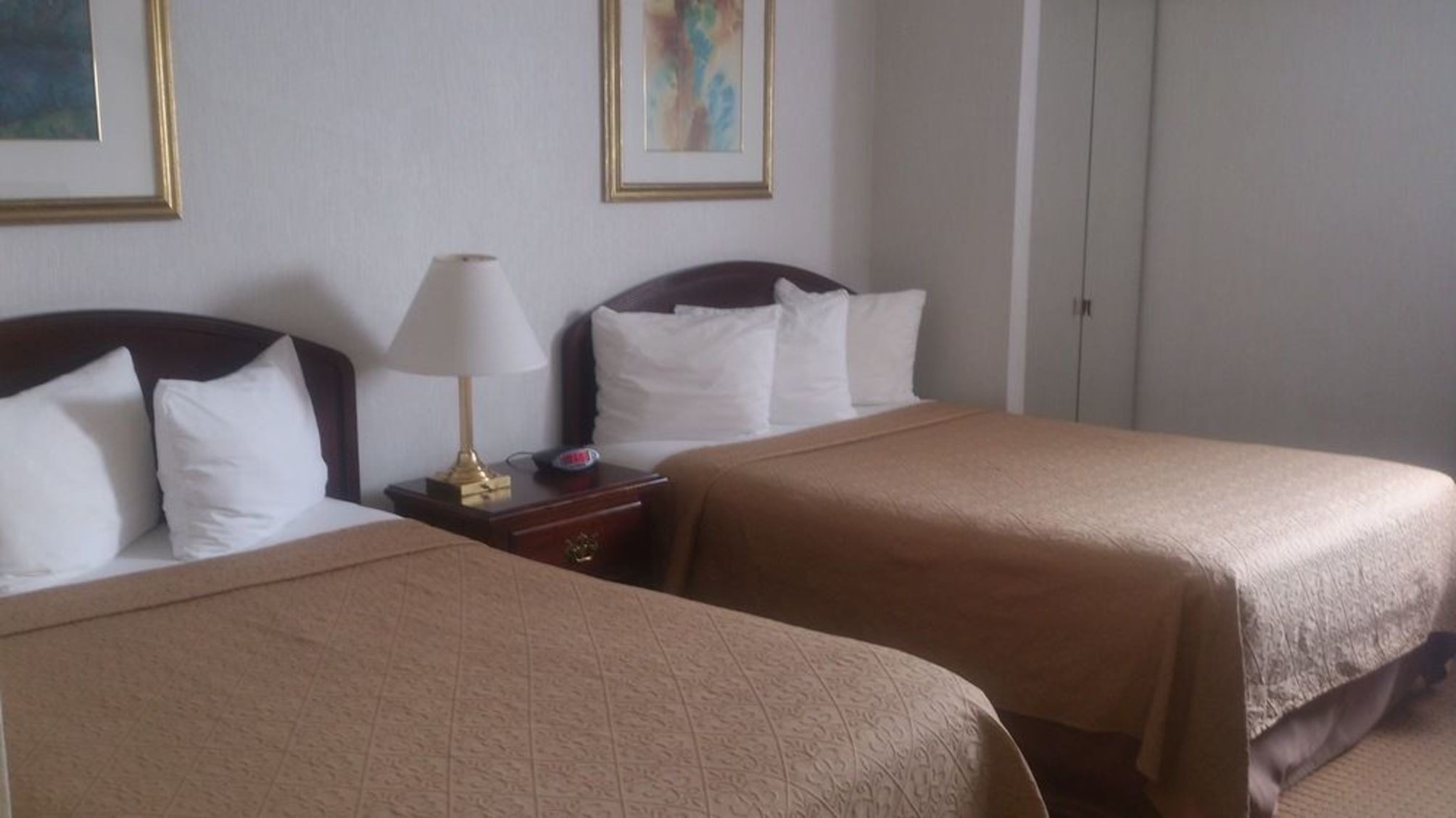 Holiday Inn Express & Suites TORONTO AIRPORT WEST by IHG 2