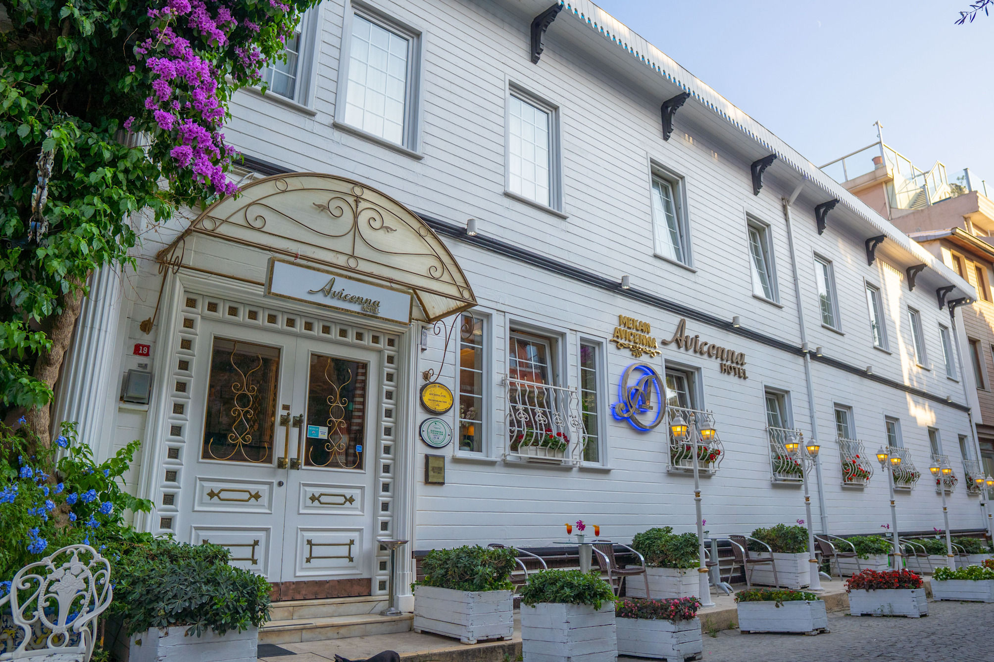 Avicenna Hotel Sultanahmet 1