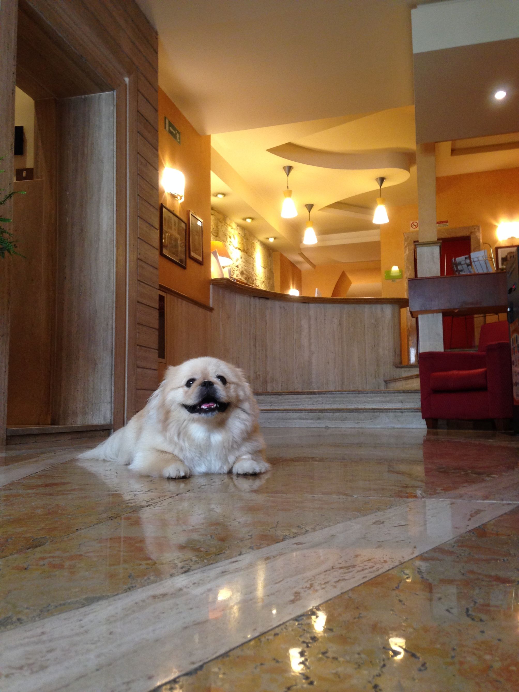 Hotel Posta 2