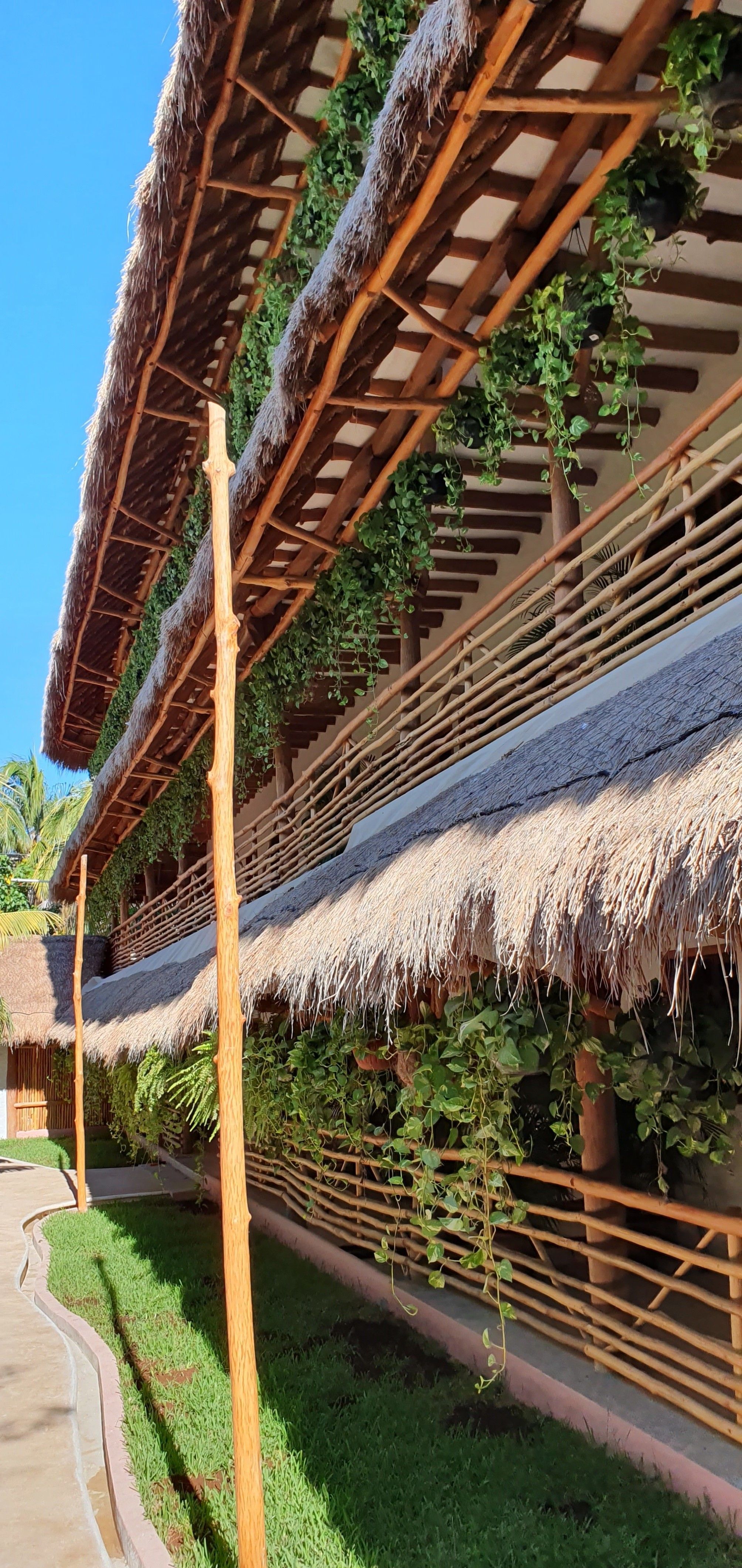 La Palma Holbox WELLNES SUITES & APARTMENTS 2