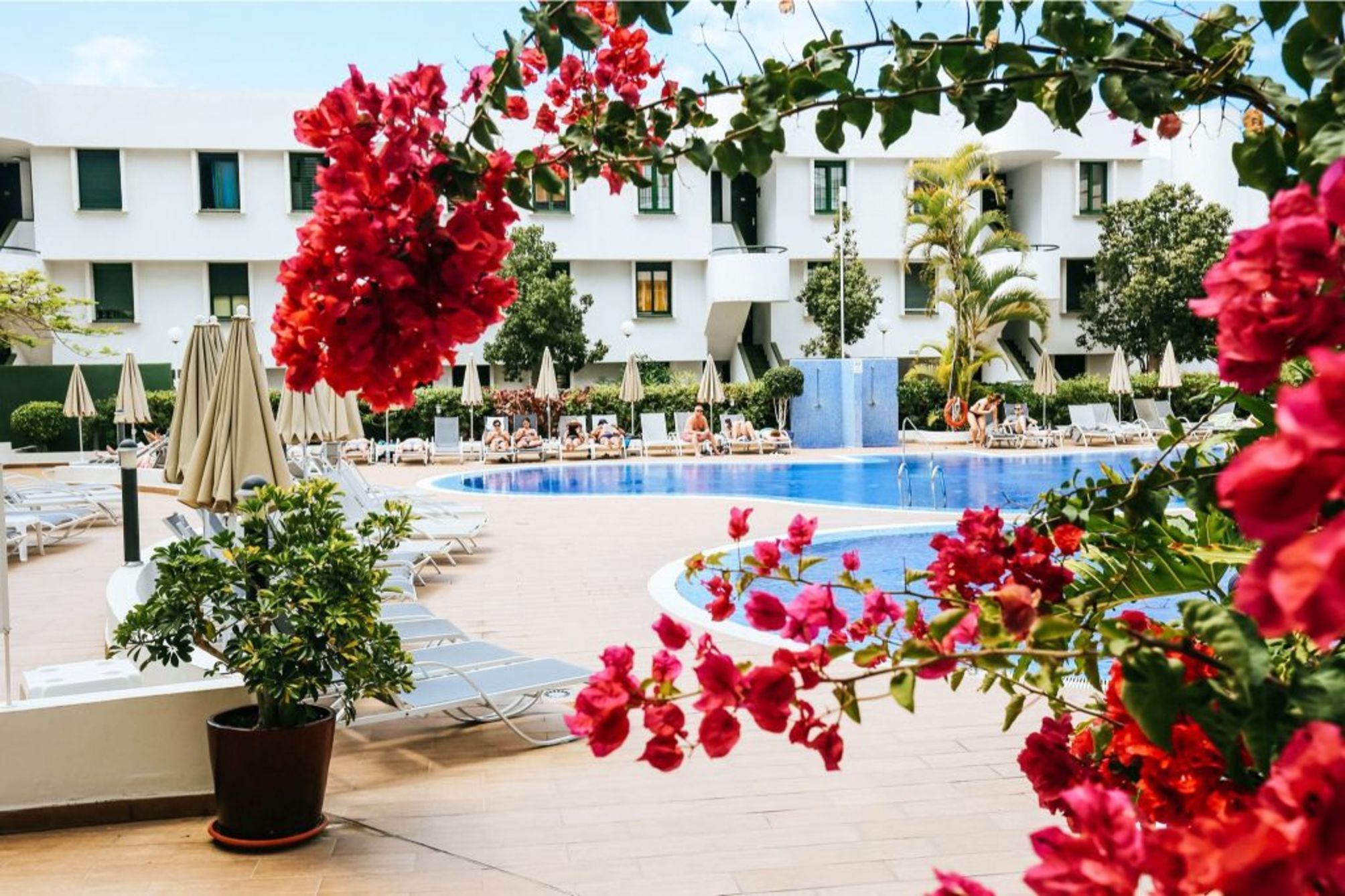 Coral Suites & Spa - Adults Only 2