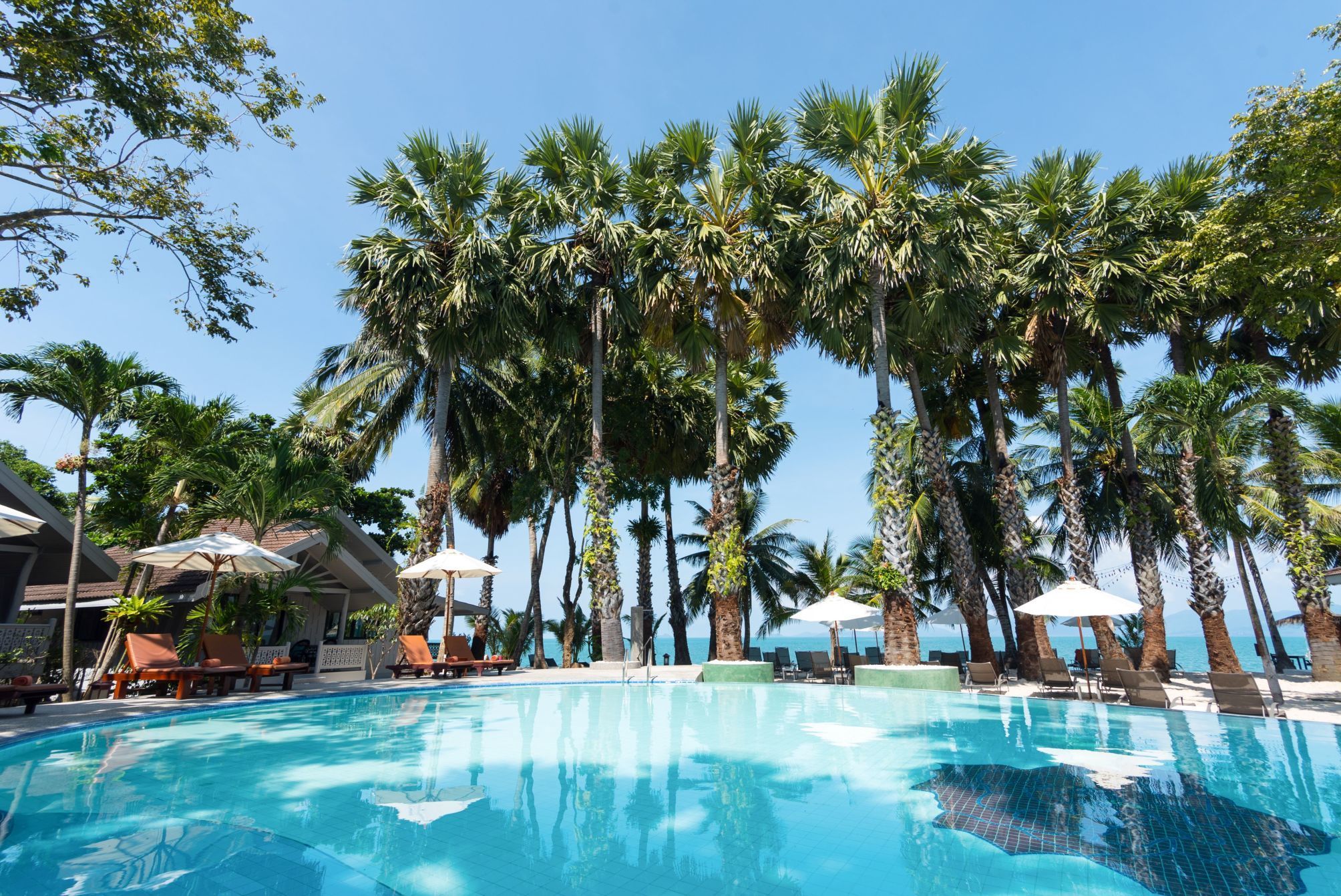 Paradise Beach Resort, Koh Samui 1