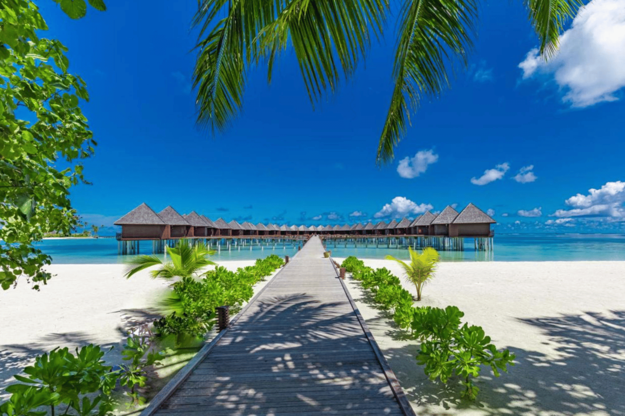 Sun Siyam Olhuveli 2