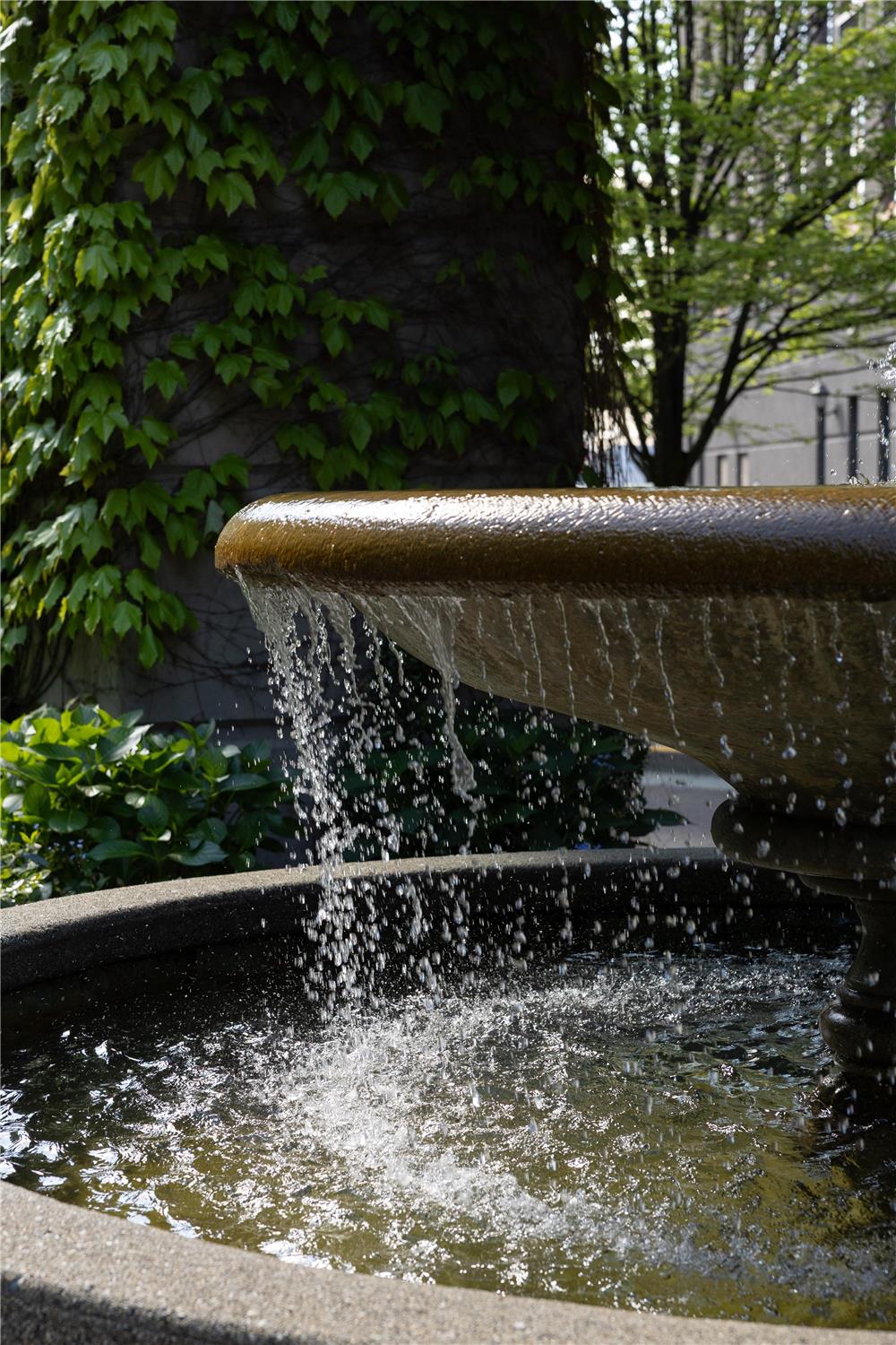 DoubleTree by Hilton North Vancouver 2
