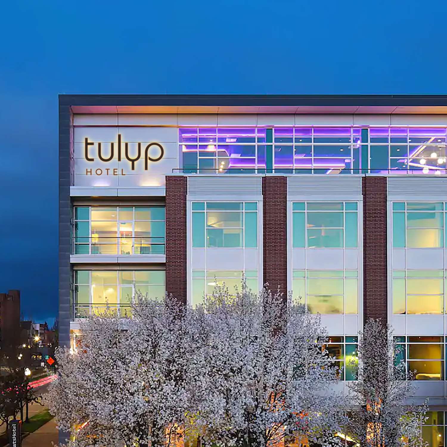 Tulyp, Tapestry Collection by Hilton 2