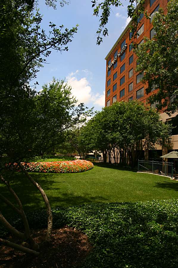Embassy Suites by Hilton Dallas-Love Field 2