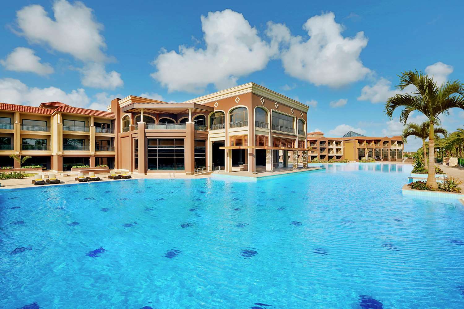 Hilton Alexandria King's Ranch 1