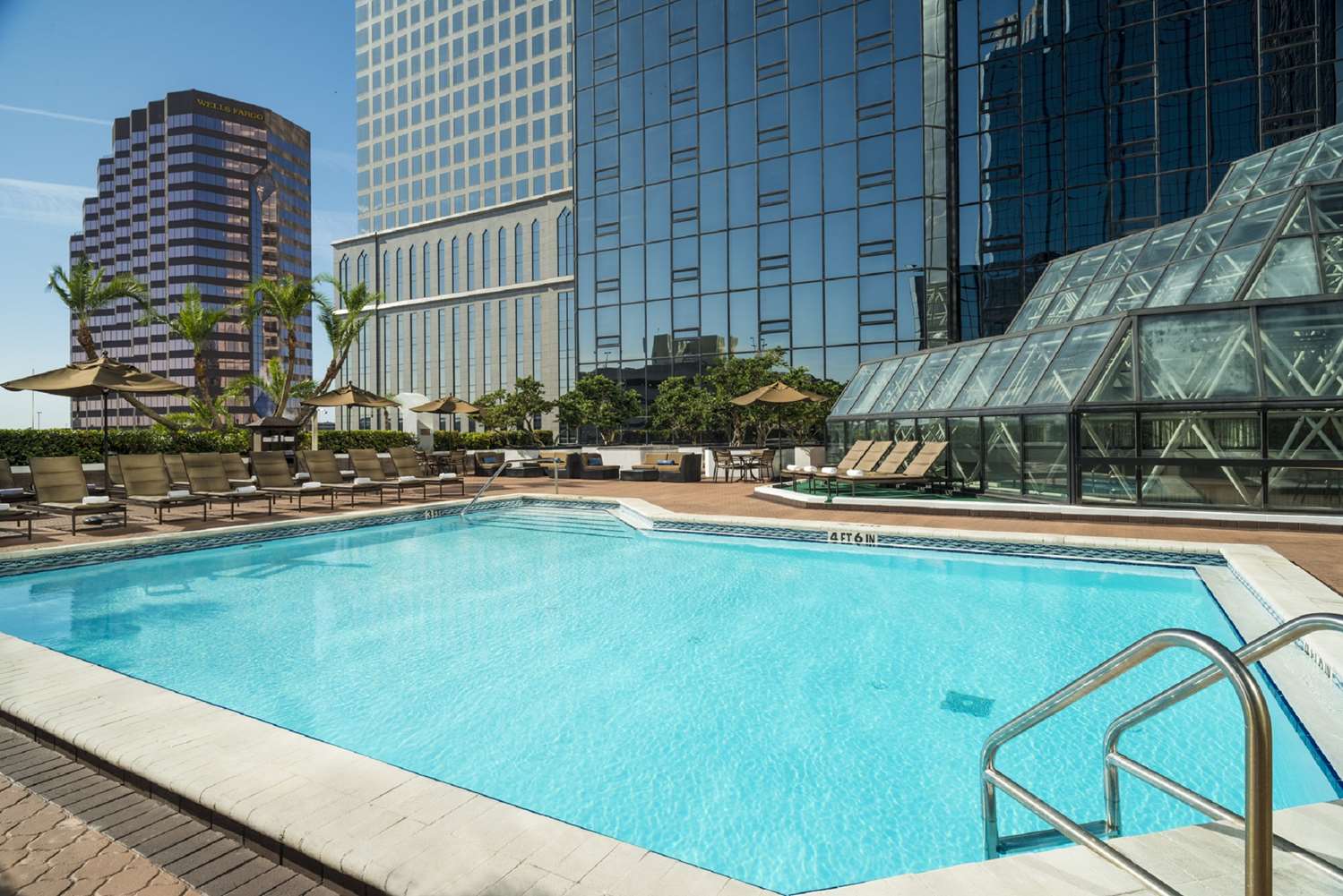 Hilton Tampa Downtown 1