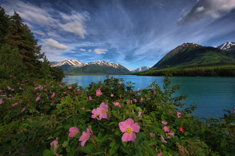 Embassy Suites by Hilton Anchorage 2