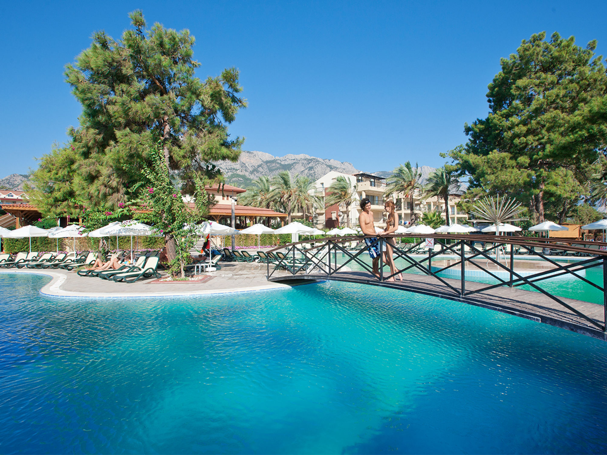 Crystal Aura Aqua Collection - Ultimate All Inclusive 2