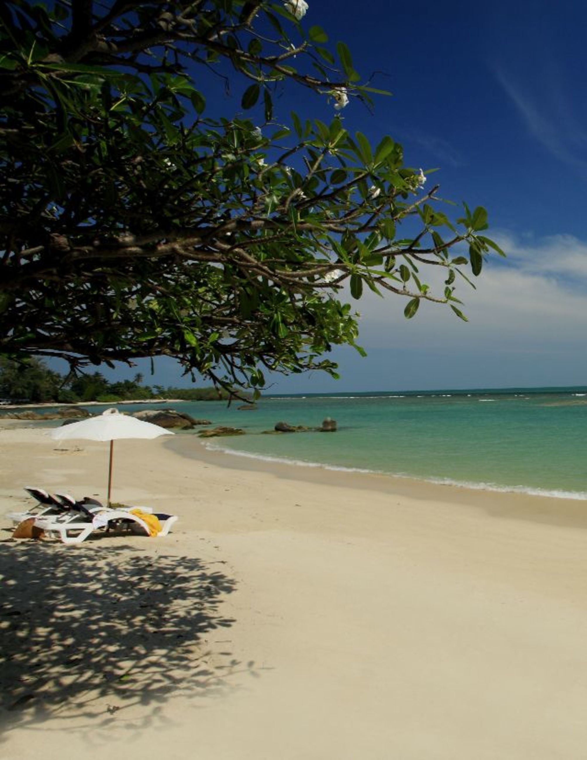 Centara Villas Samui 2