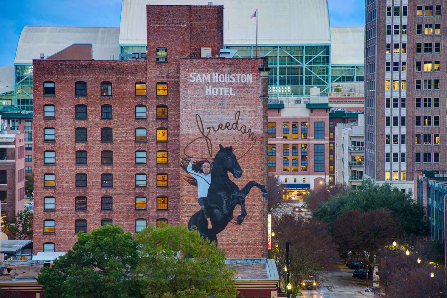 The Sam Houston, Tapestry Collection by Hilton 1