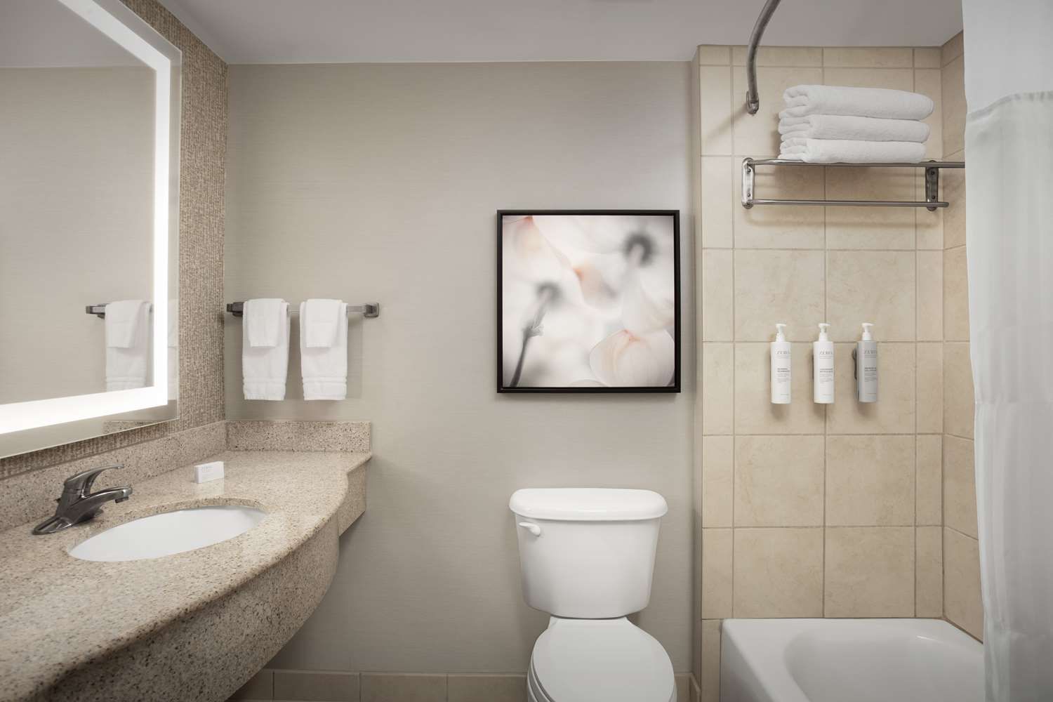 Habitación doble