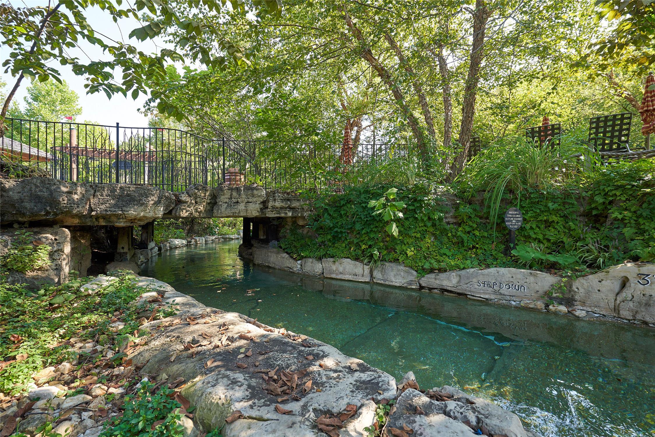 Hilton Grand Vac Club Wilderness Club at Big Cedar Ridgedale 2