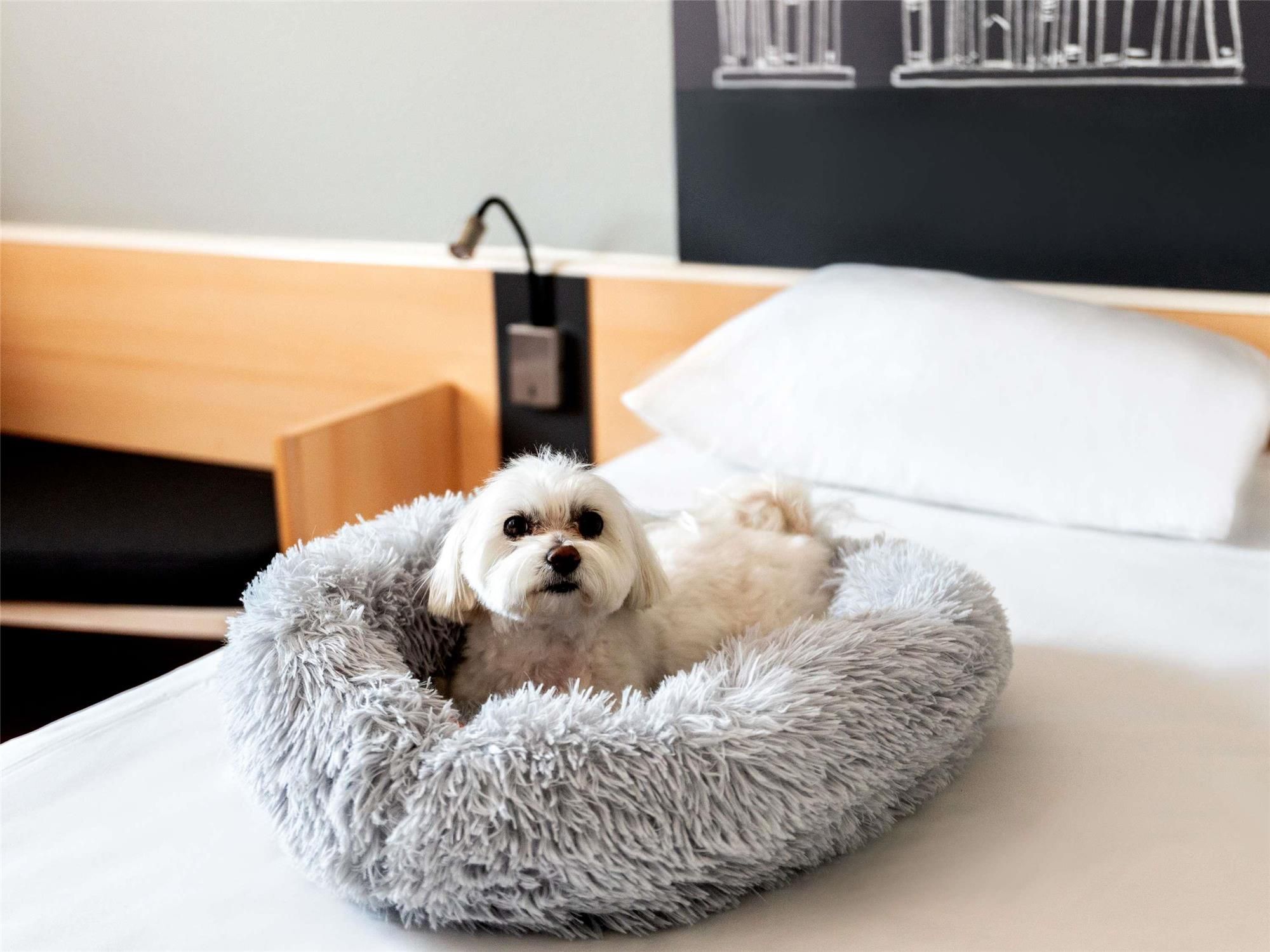 Ibis Poznan Stare Miasto 2