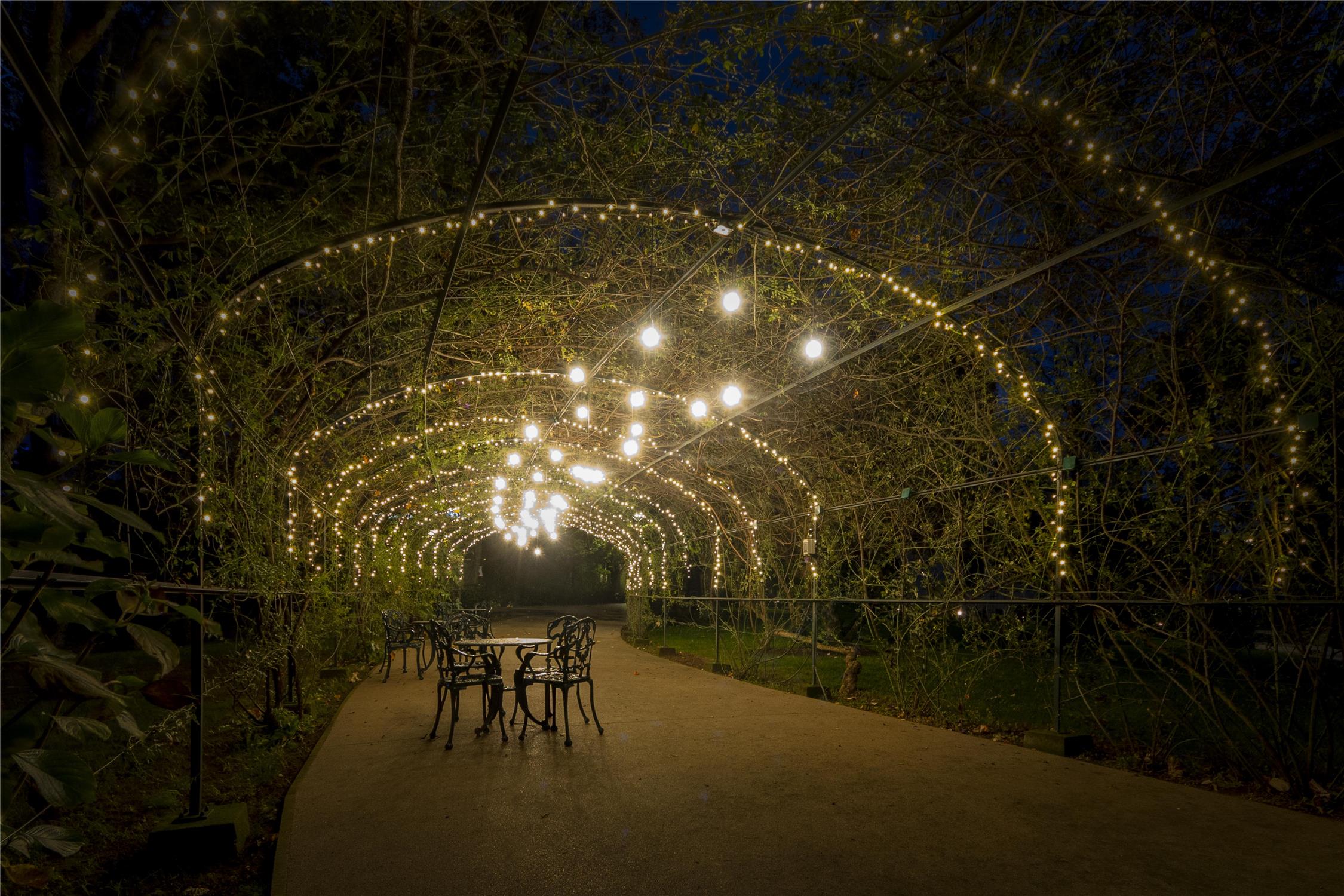 Boeira Garden Hotel Porto Gaia, Curio Collection by Hilton 2