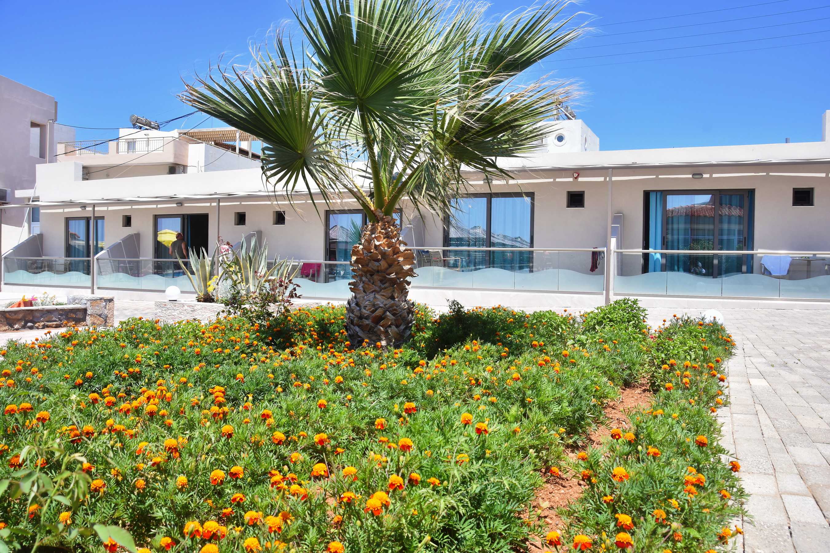 Kalia Beach 2