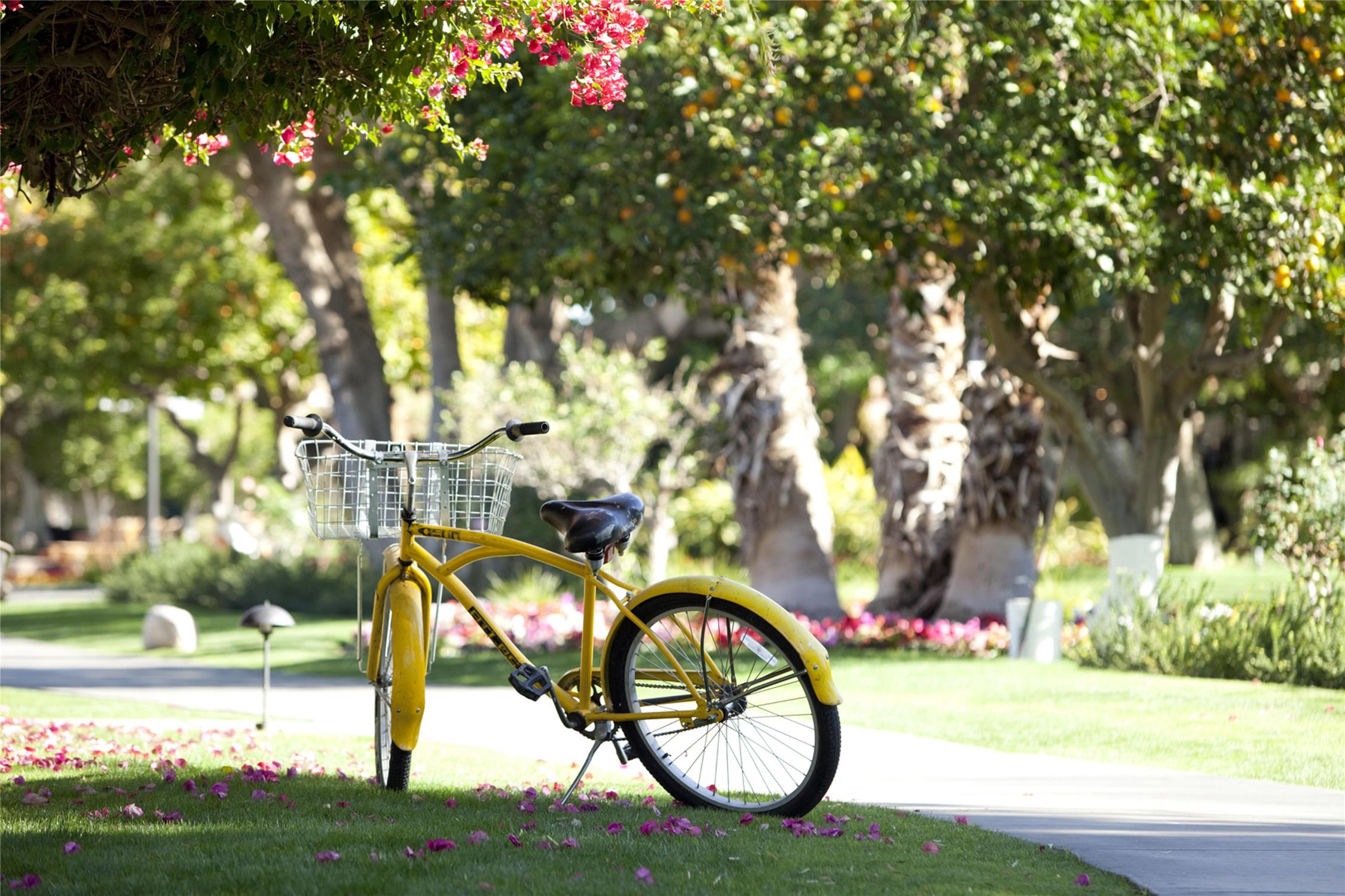 La Quinta Resort & Club, Curio Collection by Hilton 2