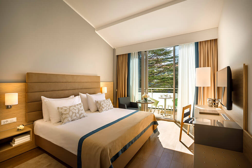 Superior Twin/Double Room