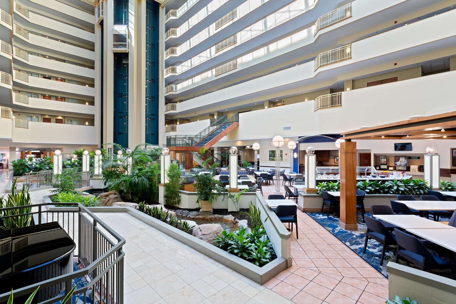 Embassy Suites by Hilton Tampa USF Near Busch Gardens 2