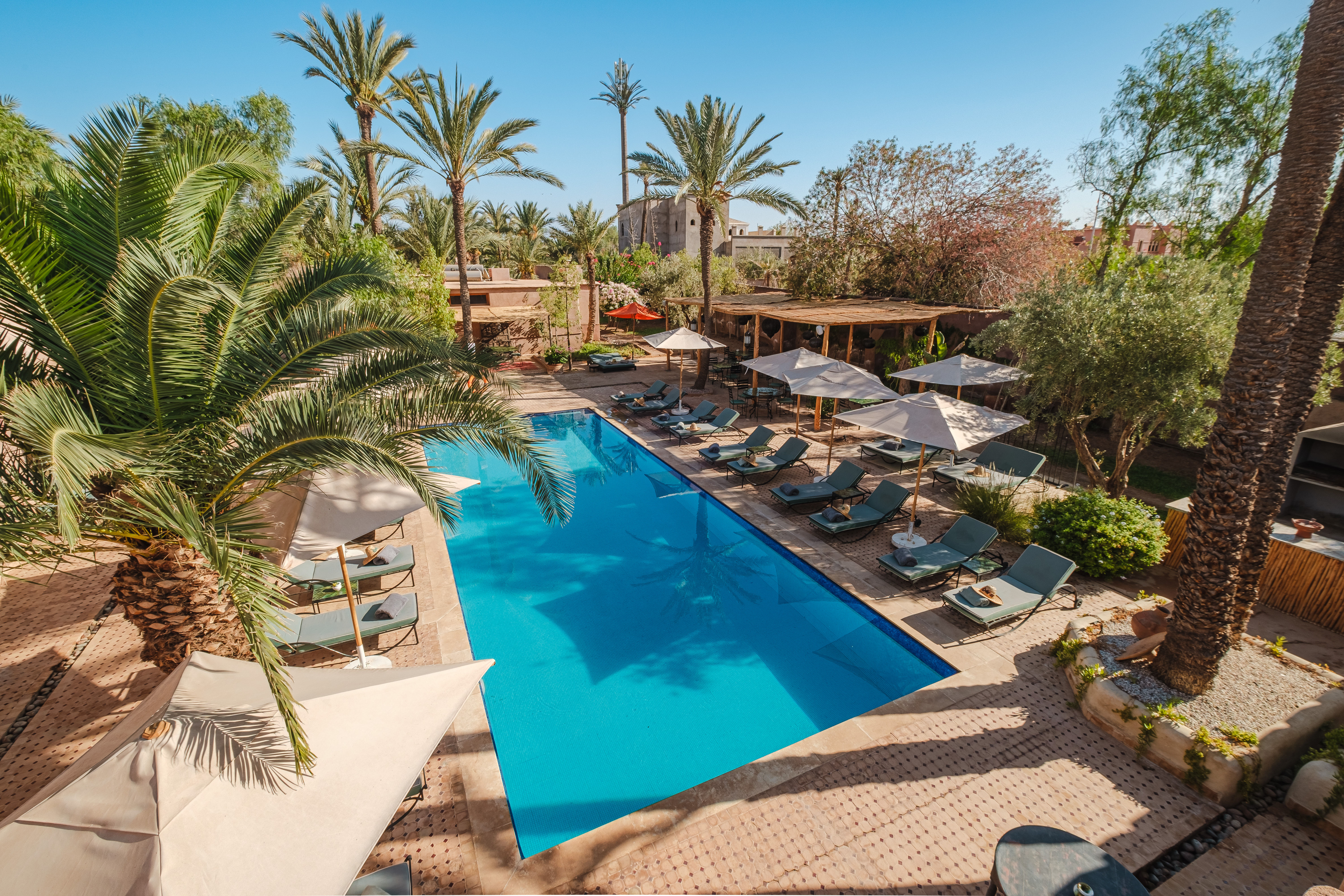 Dar 55 - Berber House - Boutique Hôtel & SPA 1