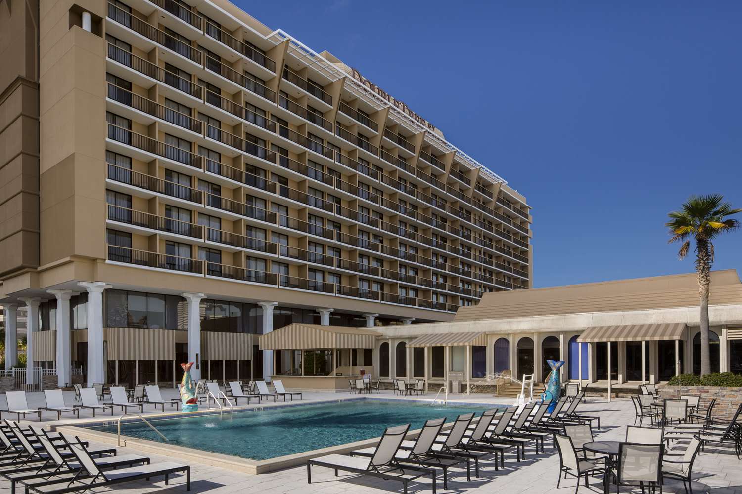 DoubleTree by Hilton Jacksonville Riverfront 1