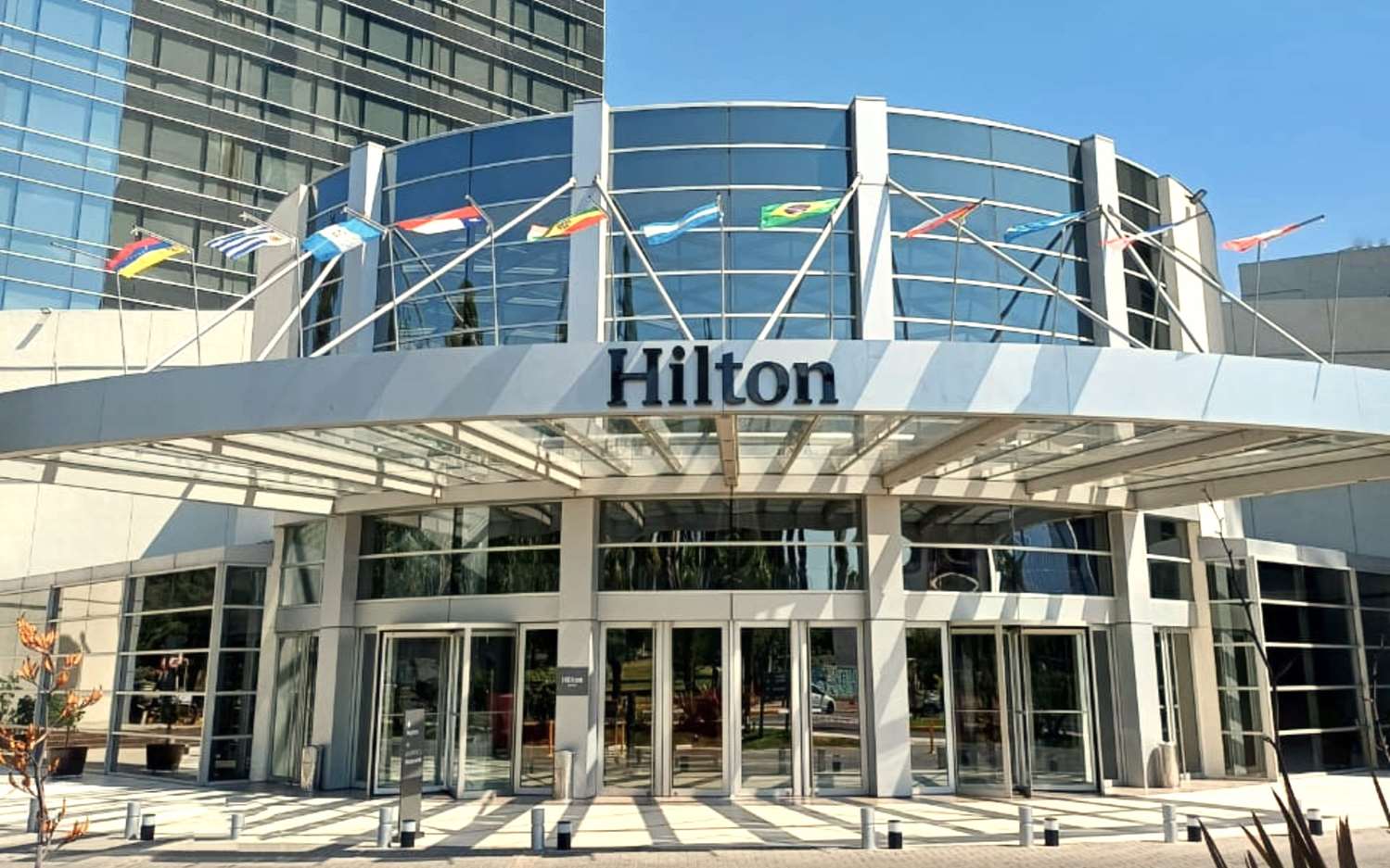 Hilton Mendoza 1