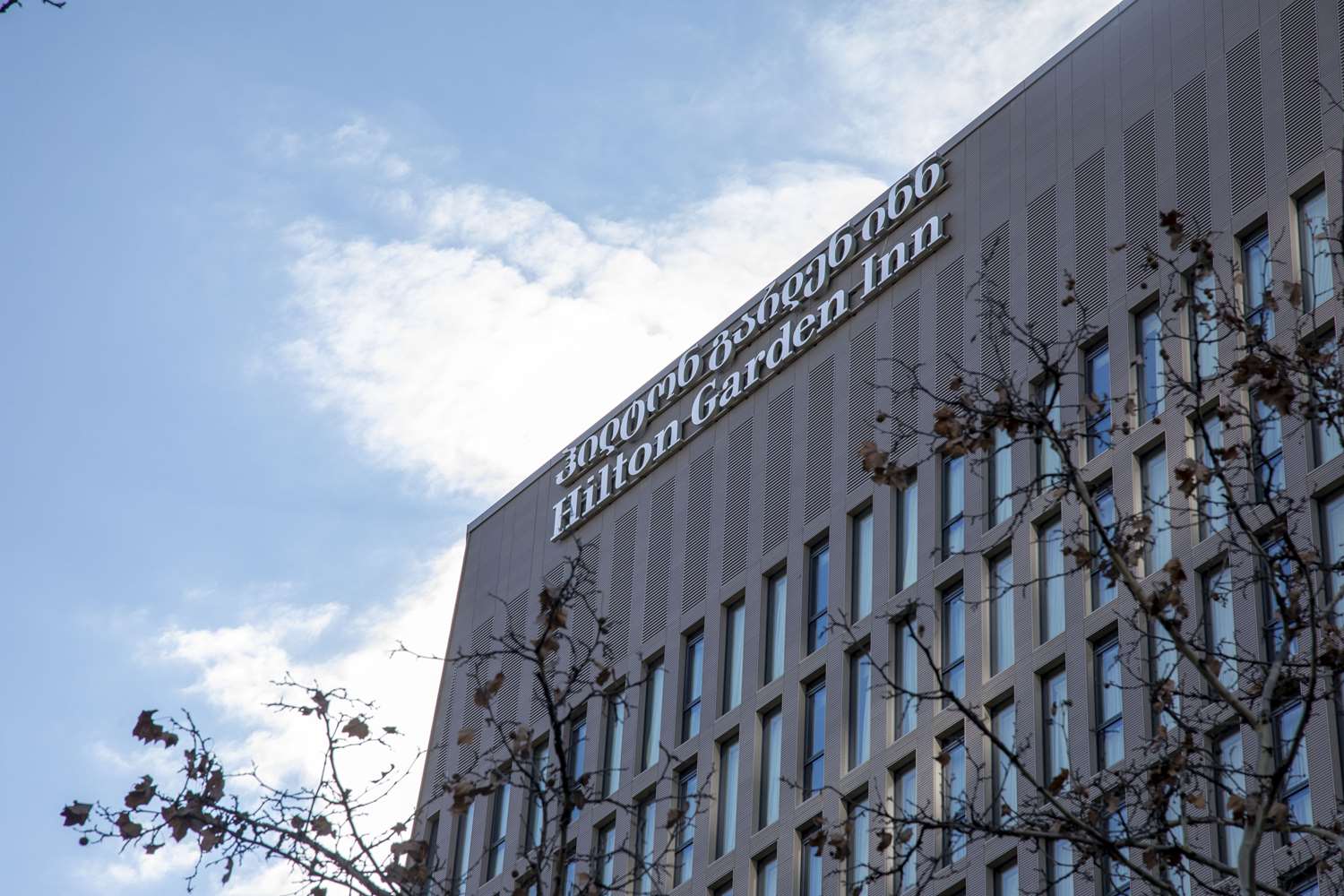 Hilton Garden Inn Tbilisi Chavchavadze 2