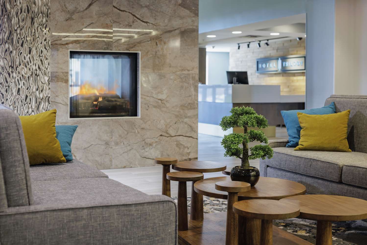 Hotel Trilogy Albany Airport, Tapestry Collection by Hilton 2