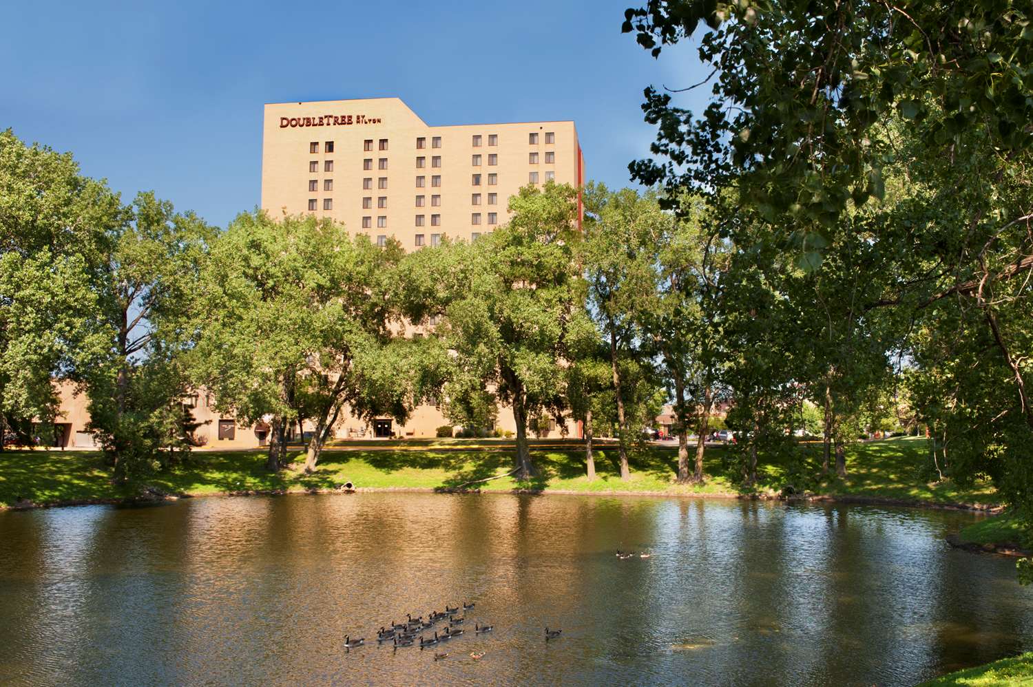 DoubleTree by Hilton Minneapolis-Park Place 1