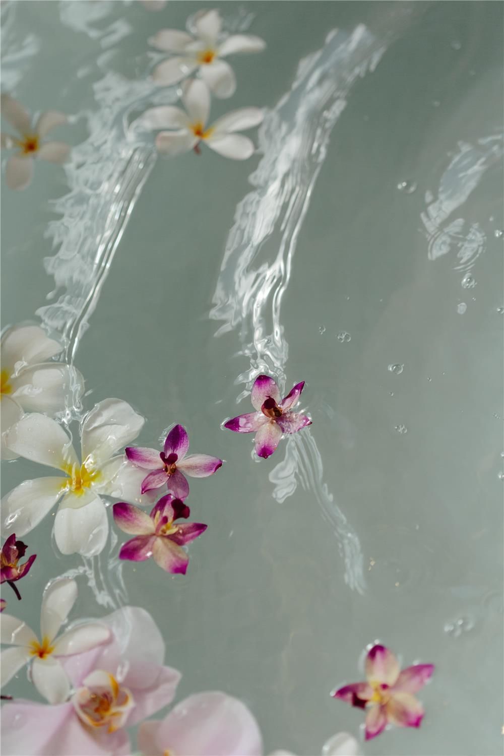 Grand Wailea, A Waldorf Astoria Resort 1