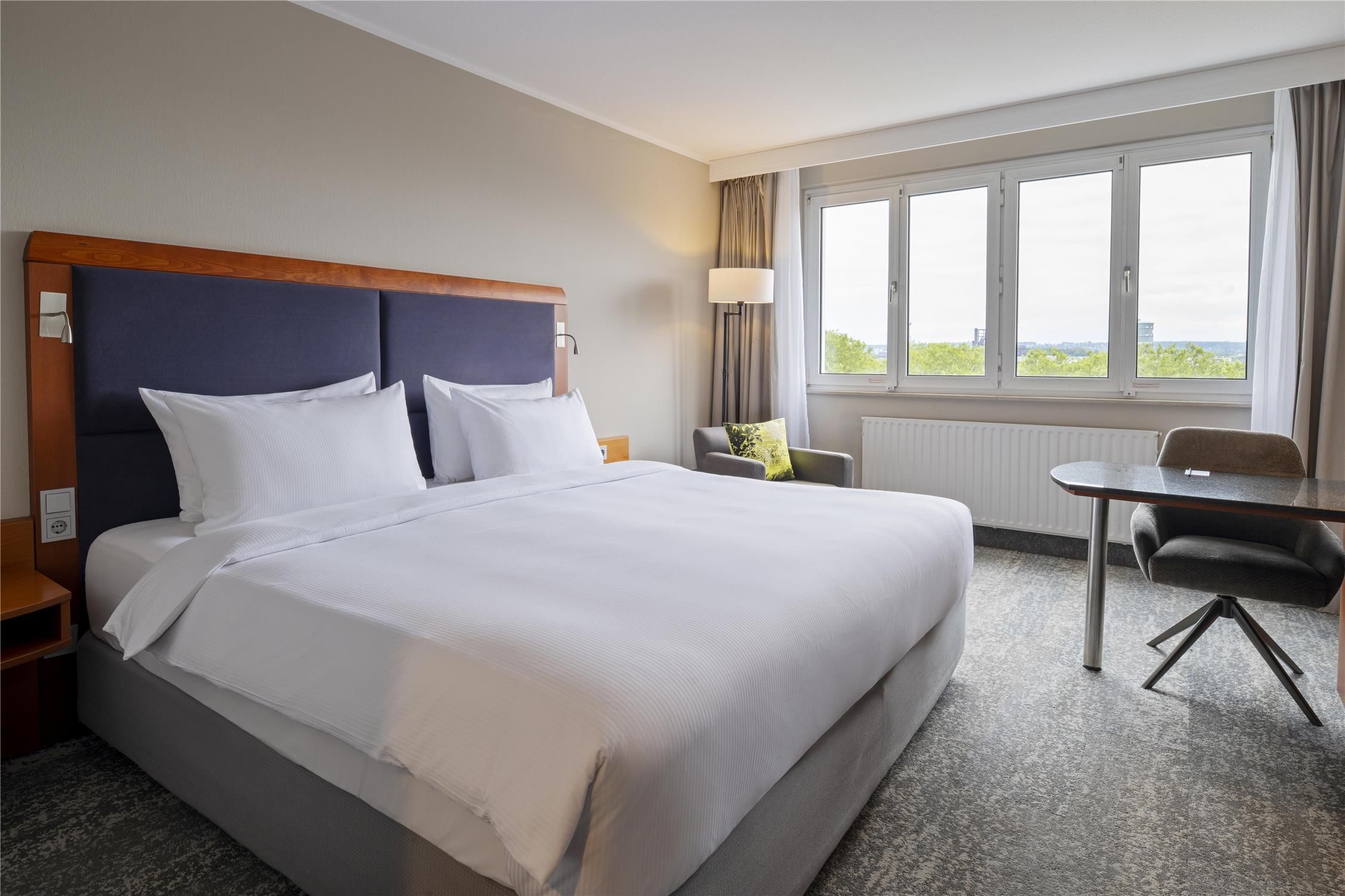 Superior Room with Park View